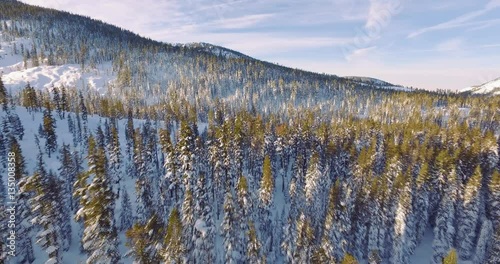 4k Aerial viewing snow covered trees and a wide expansive view in Northern California Lake Tahoe 