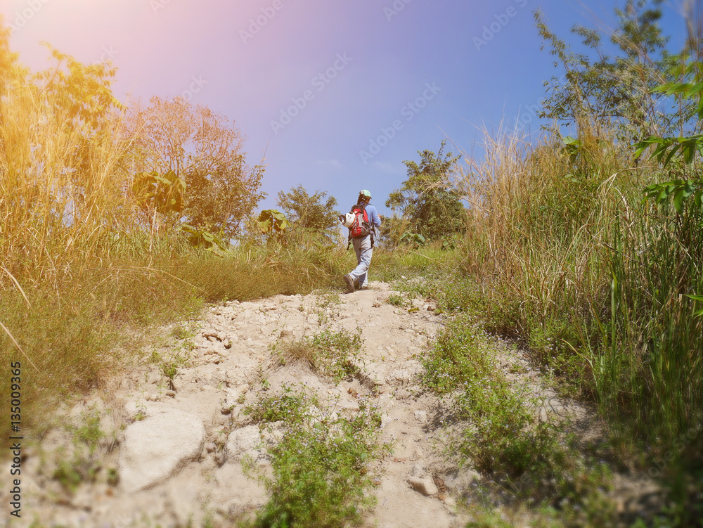 Traveler walking alone in forest mountain Traveler walking alone in forest mountain