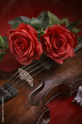 Valentine violin, red roses on dark red silk sheet, romantic instrument for valentine's day celebration