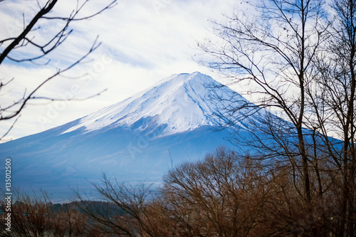 abstract view of mountain fuji in winter season and dry tree - can use to display or montage on product