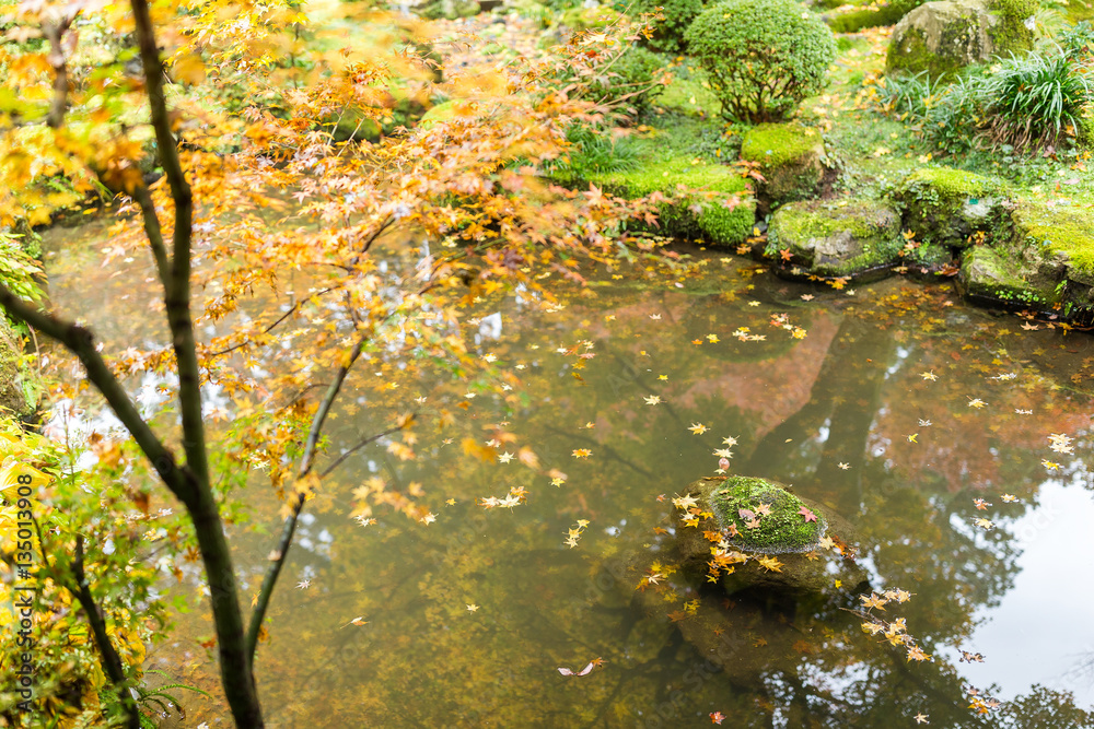 Japanese garden park in autumn