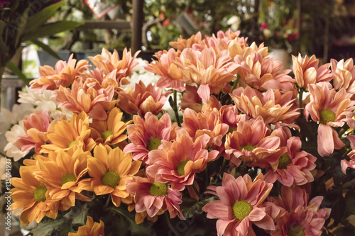 Bouquet of yellow and pink chrysanthemums on blurred background © laplateresca