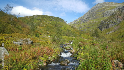 Stream at Moysalen National Park
