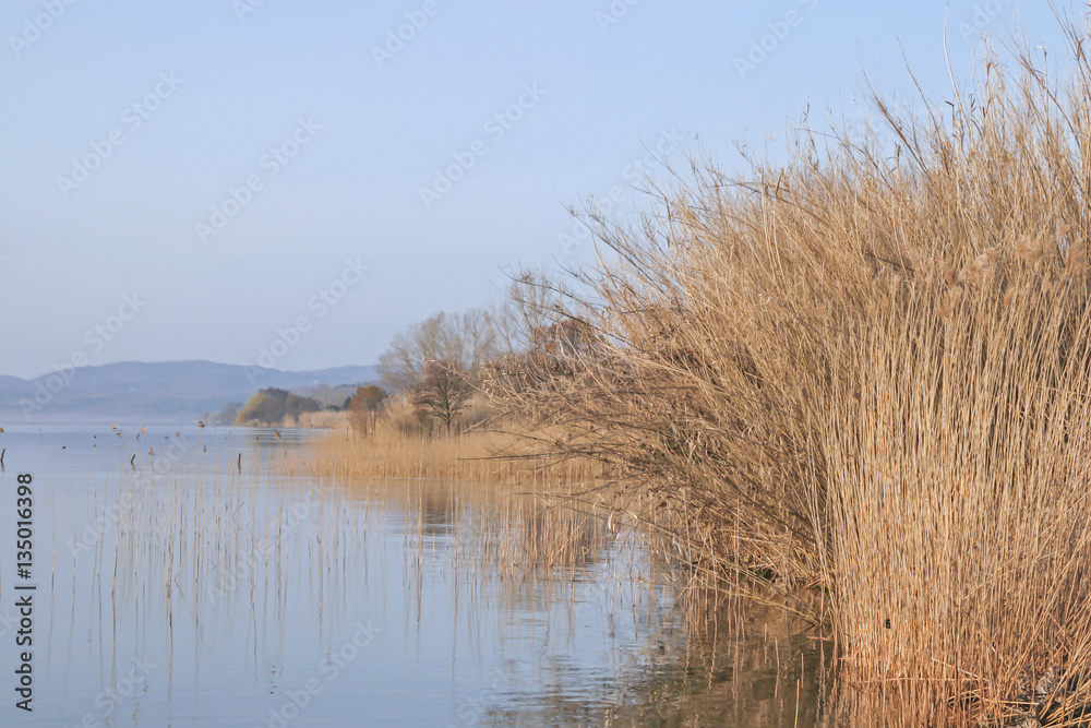 Morgenstimmung am Lago Bolsena
