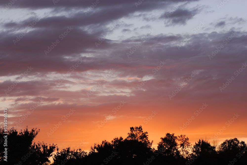 colorful dramatic sky and forest silhouette at sunset time