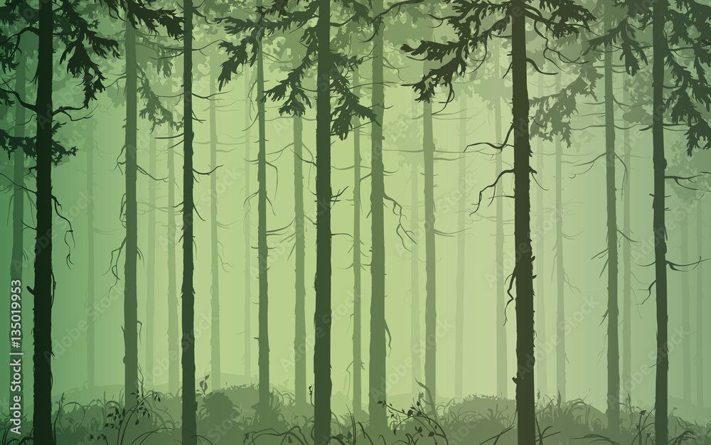 Fototapeta premium background seamless horizontal pine wood, green tones, vector illustration. It can be used as wallpaper in the interior