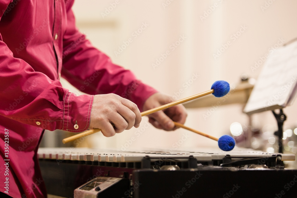 Hands musician playing the vibraphone