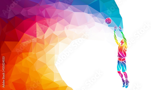 Color silhouette of volleyball player on setter position