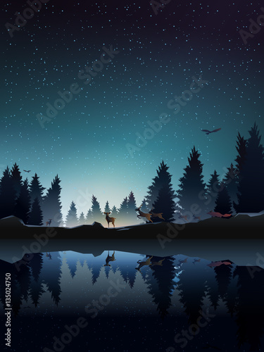 animal in pine wood near lake at night