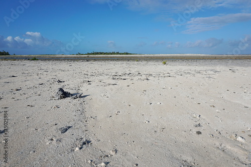 Desert landscape in a part regularly covered by the sea with an islet at the horizon, atoll of Tikehau, Tuamotu archipelago, French Polynesia, south Pacific ocean
