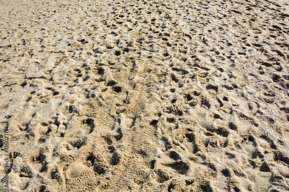 Footprints in the sand on the beach Footprints in the sand on the beach