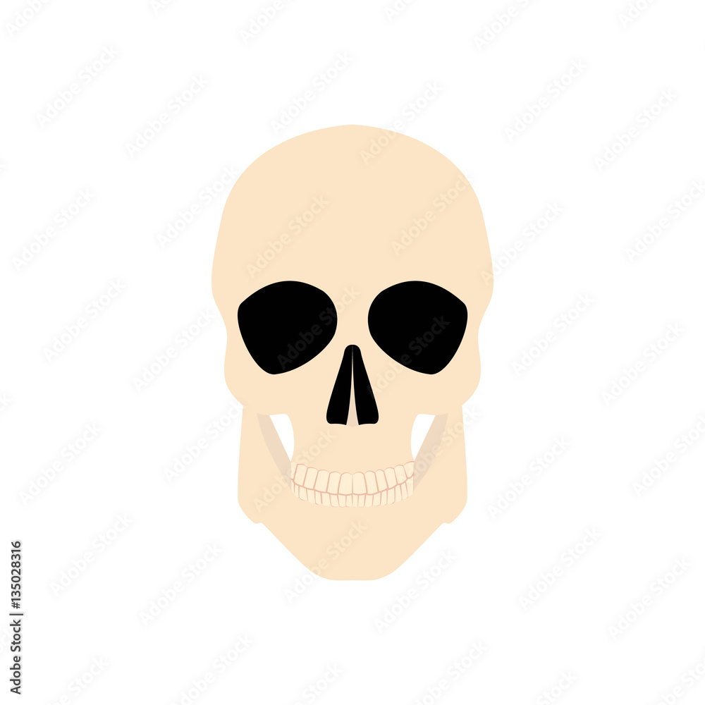 Icon human skull isolated on a white background