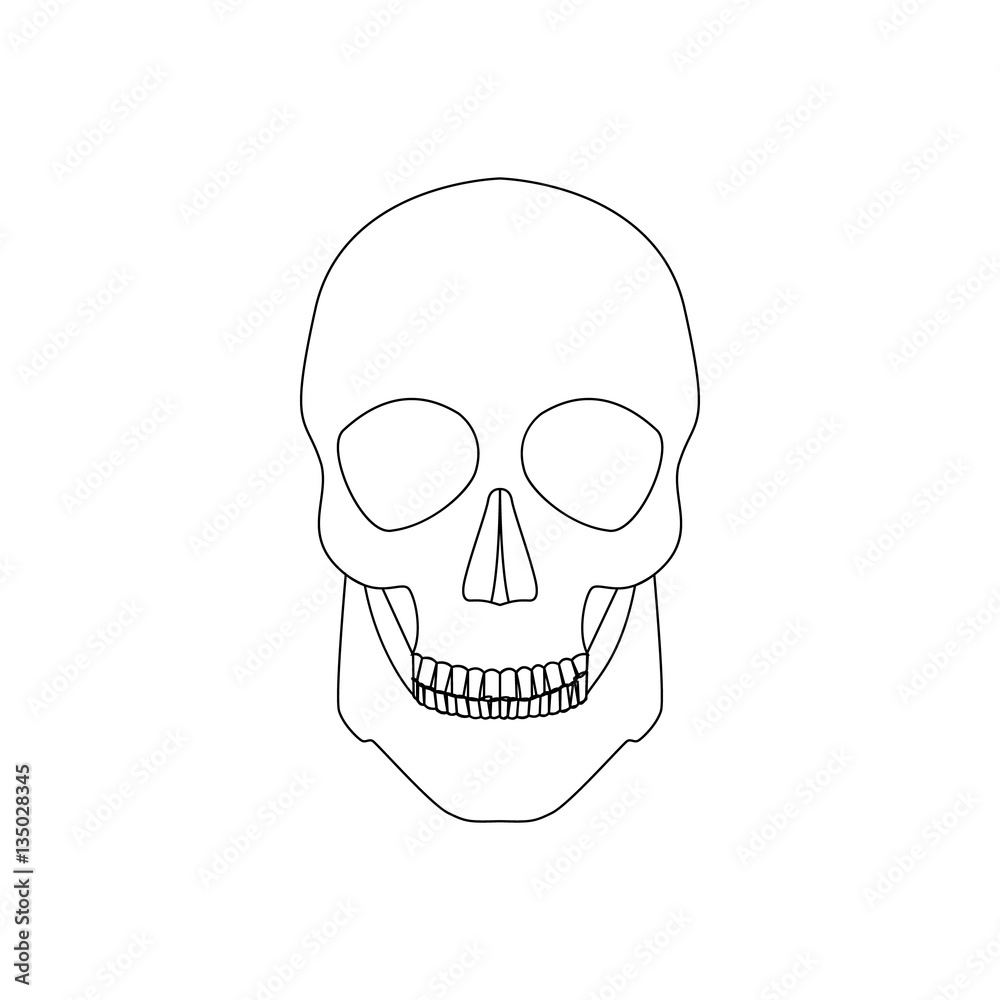 Icon human skull isolated on a white background Icon human skull isolated on a white background