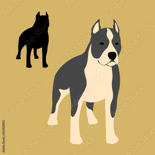 american staffordshire terrier vector illustration style Flat