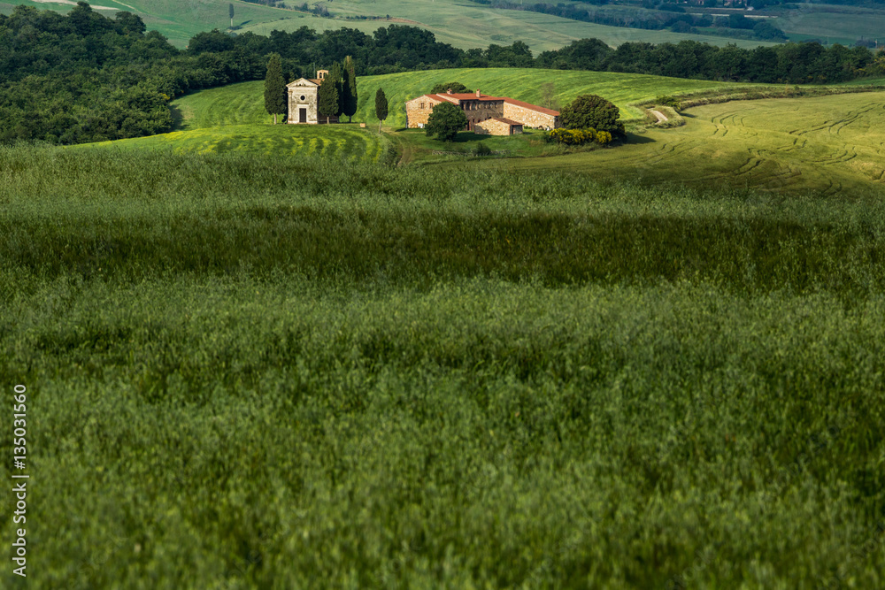 Obraz premium Tuscany landscape with a little chapel of Madonna di Vitaleta, San Quirico d'Orcia, Italy