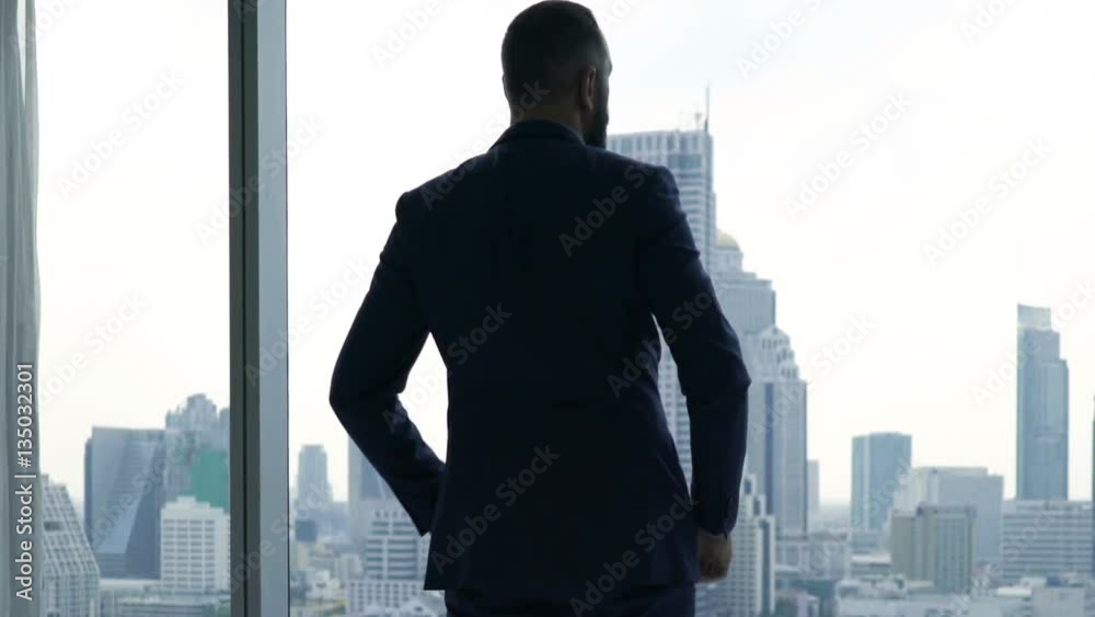 Young businessman admire view standing by window in office
Young businessman admire view standing by window in office