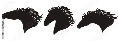 Vector horse head silhouettes set. Isolated group of a horses heads, black on white