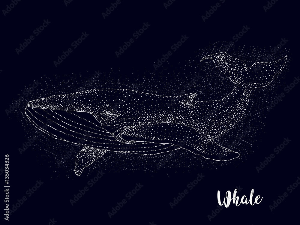 Fototapeta premium whale, constellation , vector graphics