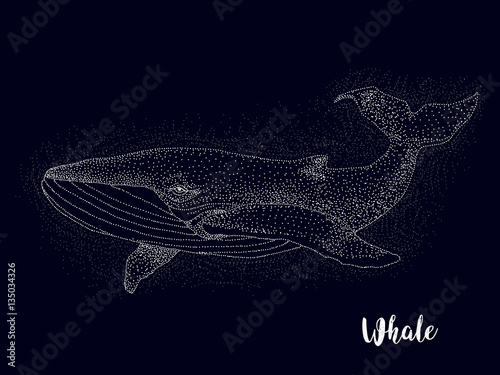 whale, constellation , vector graphics