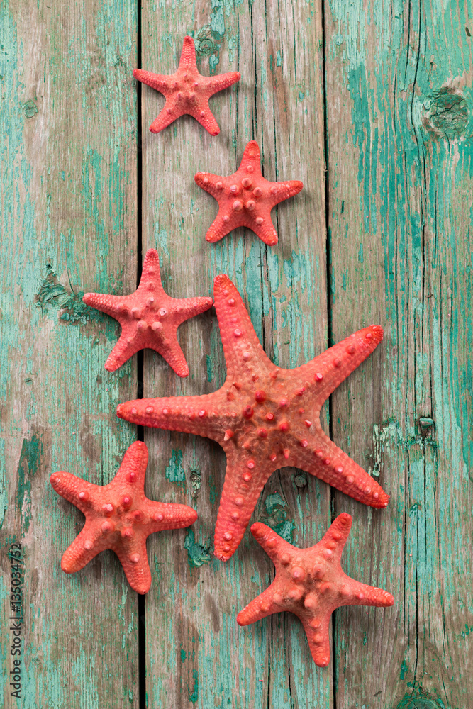 Shell and starfish frame with space on wooden old background. Summer holiday concept Shell and starfish frame with space on wooden old background. Summer holiday concept