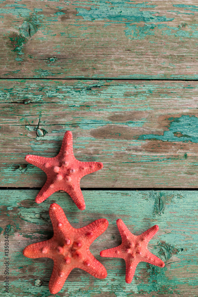 Shell and starfish frame with space on wooden old background. Summer holiday concept Shell and starfish frame with space on wooden old background. Summer holiday concept