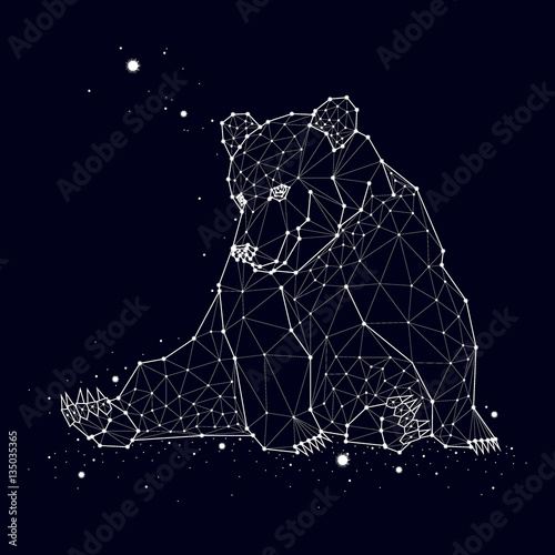 Bear constellation vector