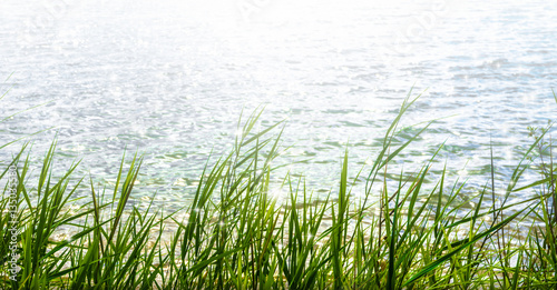 sunshine in water surface