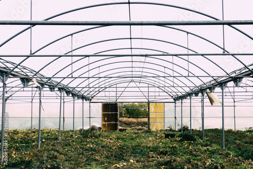 Abandoned greenhouse structure