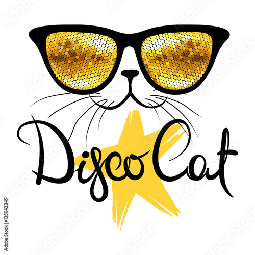 Disco cat / Vector illustration, print, background with funny cat in glasses