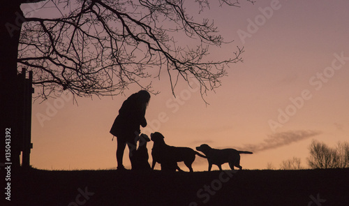 woman and her dogs