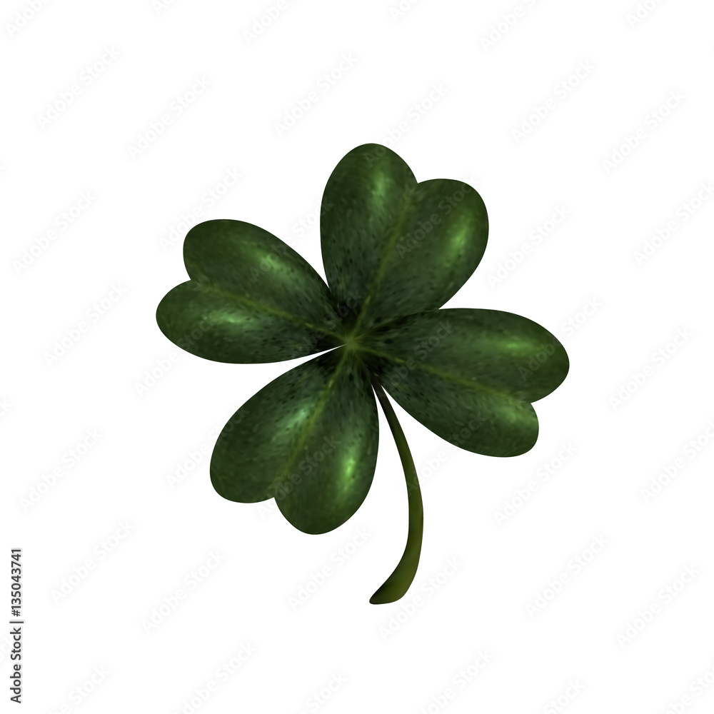 Four-leaf clover. The symbol of St. Patrick s Day. Isolated on white background . illustration Four-leaf clover. The symbol of St. Patrick s Day. Isolated on white background . illustration