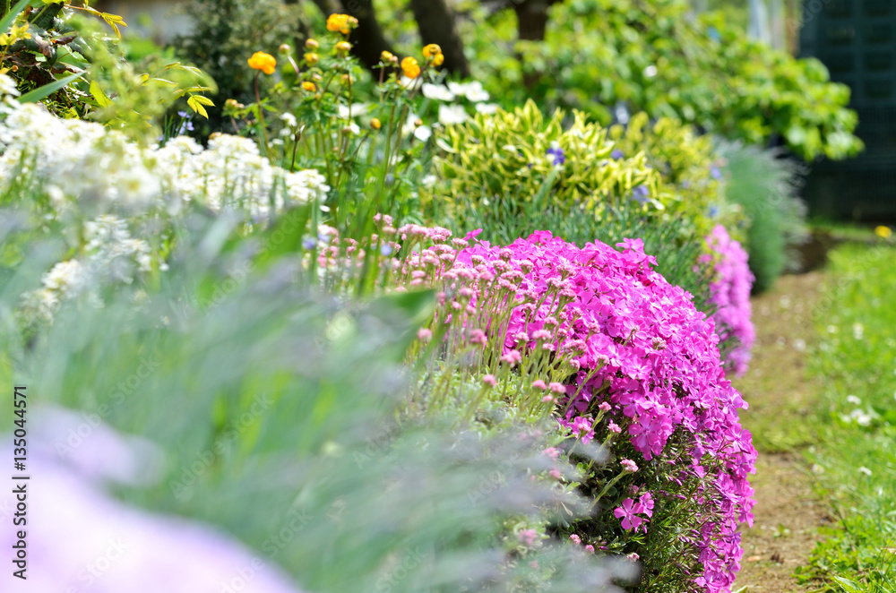 Obraz premium The flower rockery in a garden