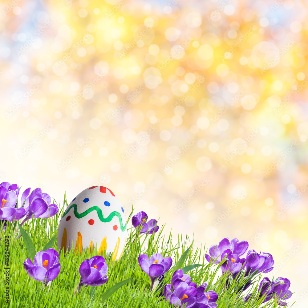 Eggs and Flowers in Green Grass