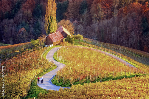 Famous Heart shaped wine road in Slovenia in autumn, Herzerl Straße with two walkers in sunset, surrounded with vineyards with yellow and orange coloured foliage in autumn; Herzerl Straße, Dreisiebner photo