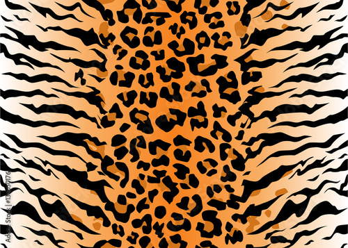 leopard tiger jaguar texture abstract background orange black. Vector jungle. Bengal cat. strip