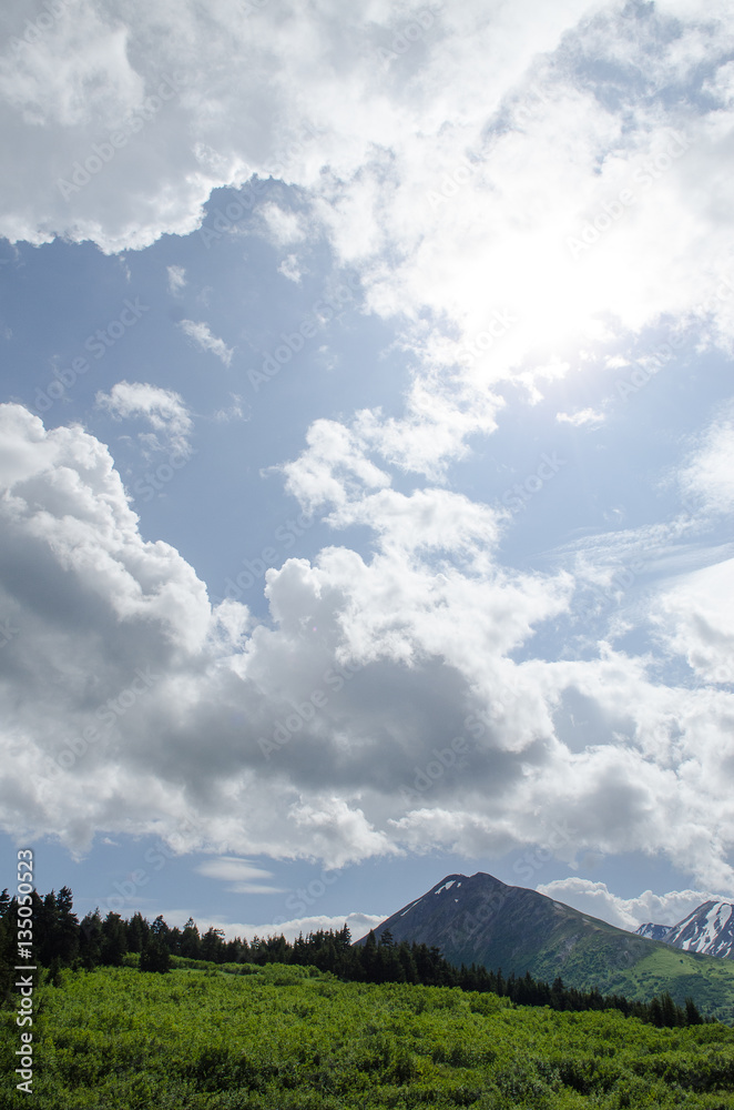Sunny Alaska Mountain WIlderness