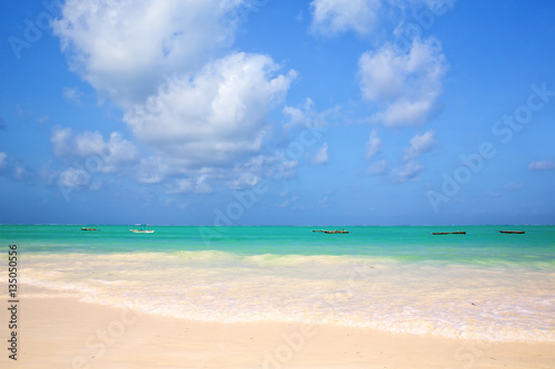 Zanzibar tropical sand beach, Tanzania © Oleksandr Dibrova