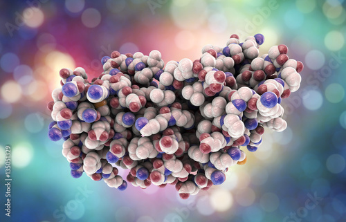 Molecular model of interferon-gamma 3D illustration. IFN-gammaa is a protein produced by leukocytes and involved in innate immune responce against viral infections photo