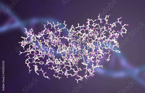 Molecular model of interferon-gamma 3D illustration. IFN-gamma is a protein produced by leukocytes and involved in innate immune responce against viral infections photo