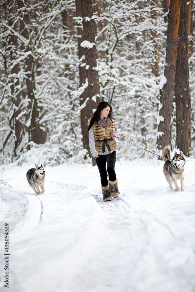 Girl with Husky in winter forest. Young woman is husky on a leash, the second Husky runs alongside Girl with Husky in winter forest. Young woman is husky on a leash, the second Husky runs alongside