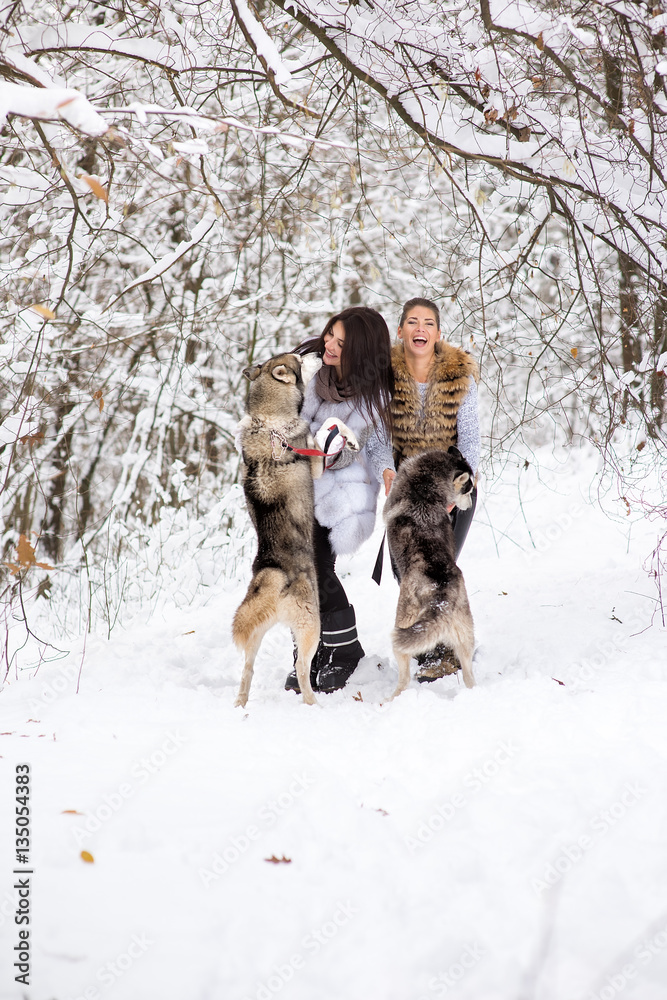 Two beautiful girls with husky huskies in winter forest. Girls having fun playing with dogs talking, laughing