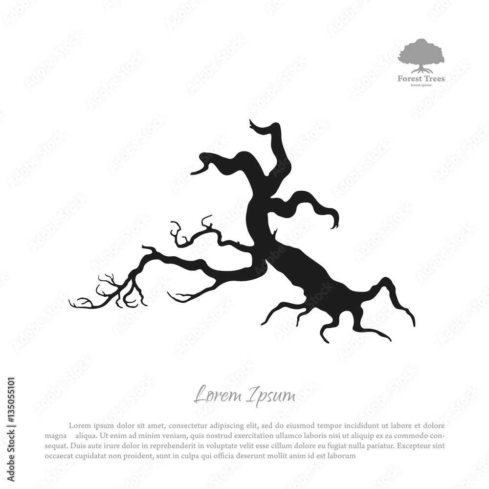 Silhouette of the old broken tree on a white background. Black d Silhouette of the old broken tree on a white background. Black d