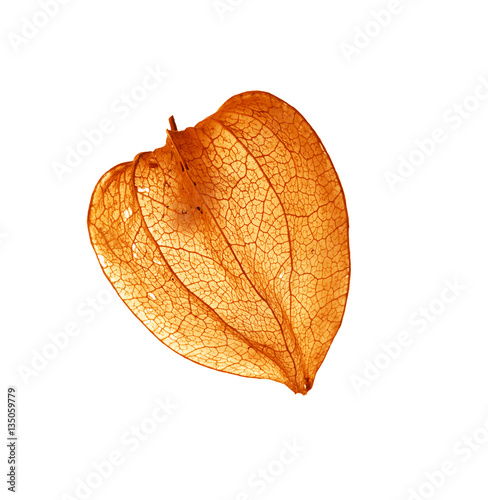 Φωτογραφία Fruit - Cape gooseberry