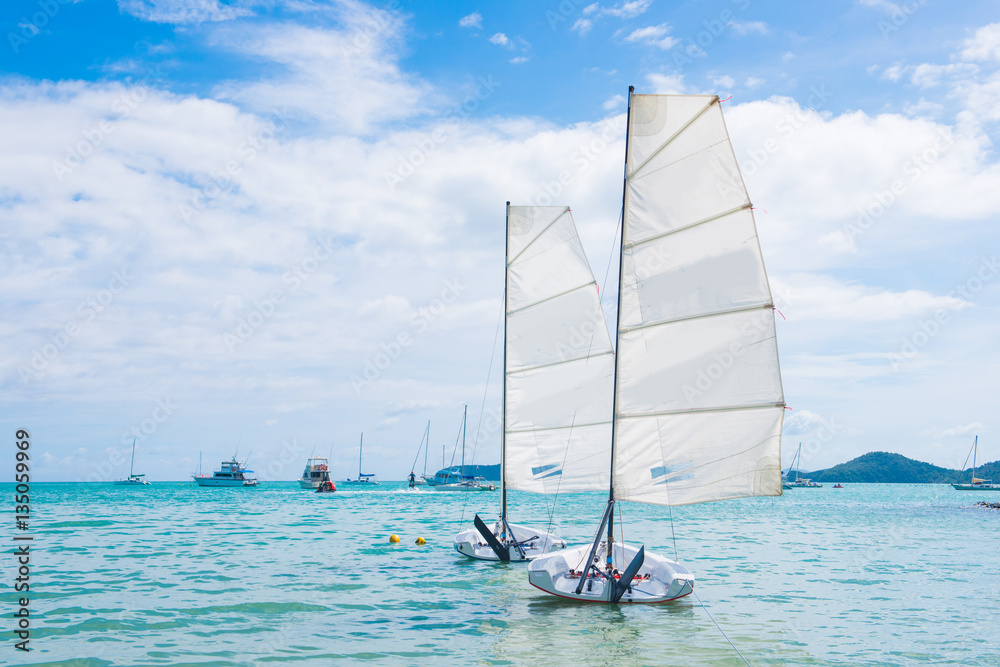 Obraz premium flying ants sailing on the sea