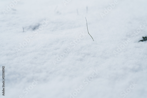 closeup photo of fresh snow on a field, shallow focus