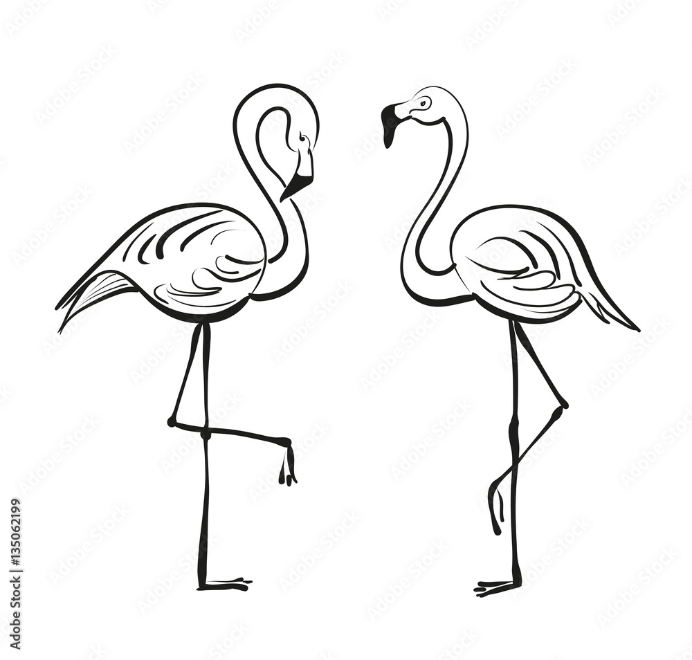 Flamingo. Vector drawing.