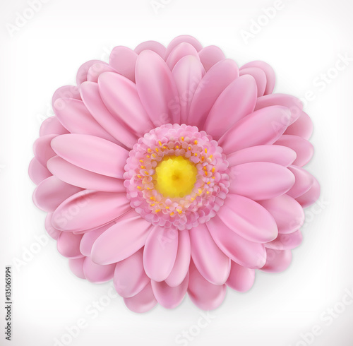 Spring pink flower, 3d vector icon