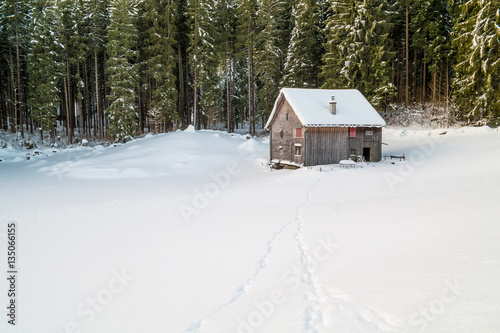 Snowy Cabin Retreat in Swiss Forest © liamalexcolman