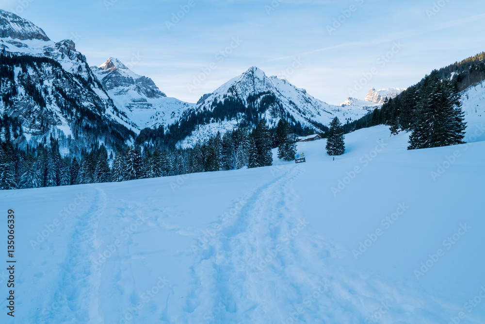 Swiss Winter - Mountain covered in snow