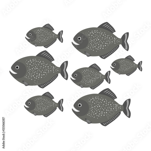 Piranha a school of fish. vector illustration for children